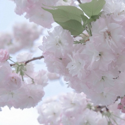 宜都FurryQQ群介绍